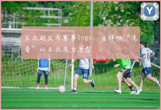 东北超发布赛事logo，吉祥物“虎哥”以东北虎为原型