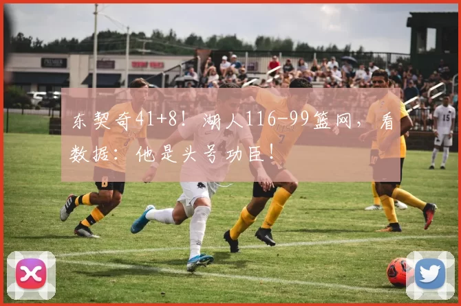 东契奇41+8！湖人116-99篮网，看数据：他是头号功臣！