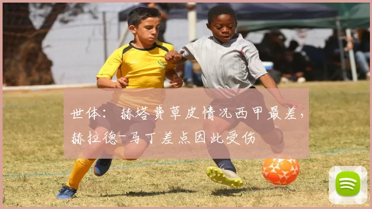 世体：赫塔费草皮情况西甲最差，赫拉德-马丁差点因此受伤