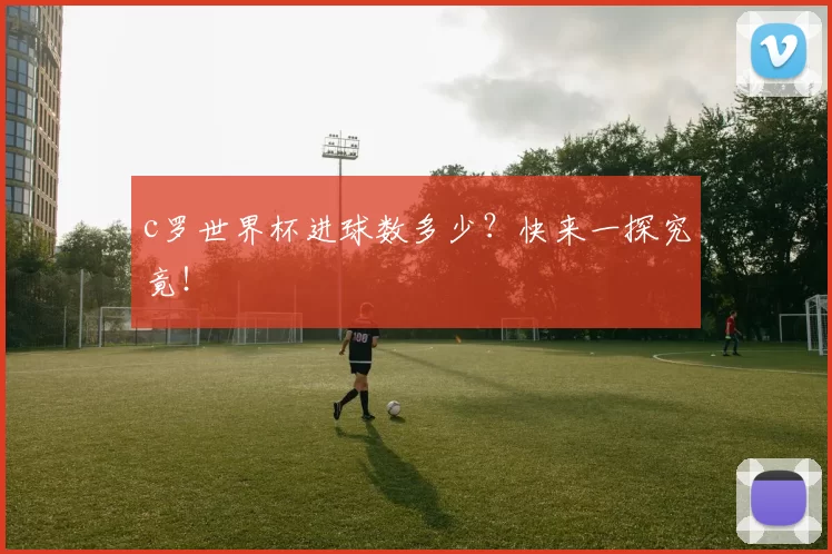 c罗世界杯进球数多少？快来一探究竟！