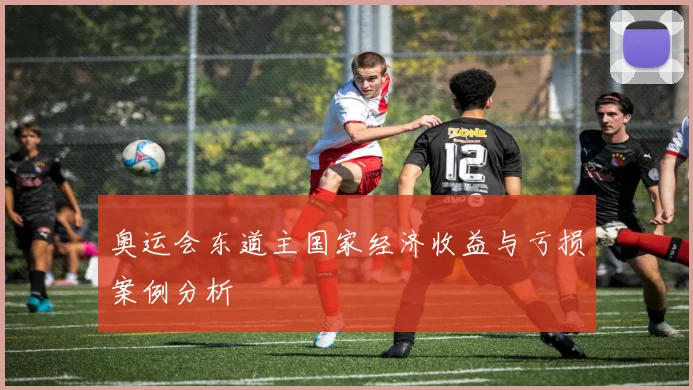 奥运会东道主国家经济收益与亏损案例分析